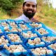 Mushroom Biryani Recipe || For Orphan Kids || Nawabs Kitchen