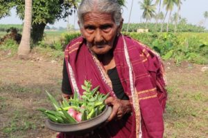 My 105 Years Grandma's Yummy Tasty Lady's Finger Recipe | Bendakaya Pulusu  | Country Foods