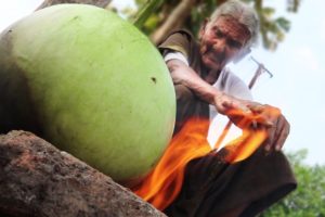 My 105 years Grandma's Village Style  Chicken Curry | Bottle gourd Chicken Recipe | Country Foods