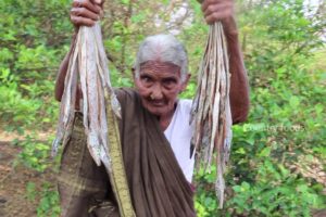 My 105 years Grandma's Village Style Dry Fish Recipe | Traditional Dry Fish Curry | Country Foods