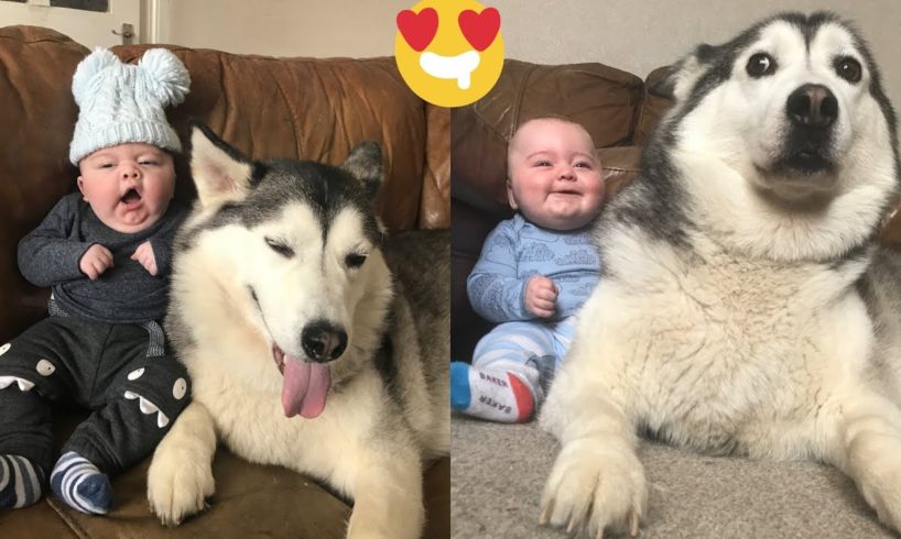 My Husky Promised from Day 1 she would always Protect my Baby! [CUTEST VIDEO EVER]