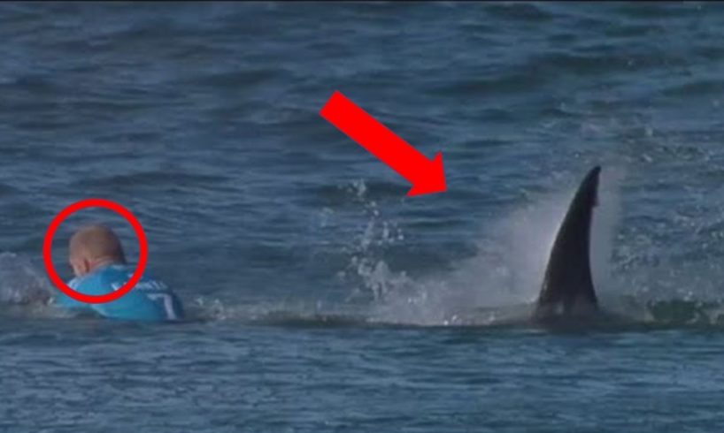 Near death compilation extreme