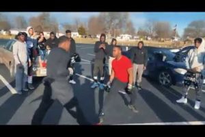 New hood fights (part 2) 2019