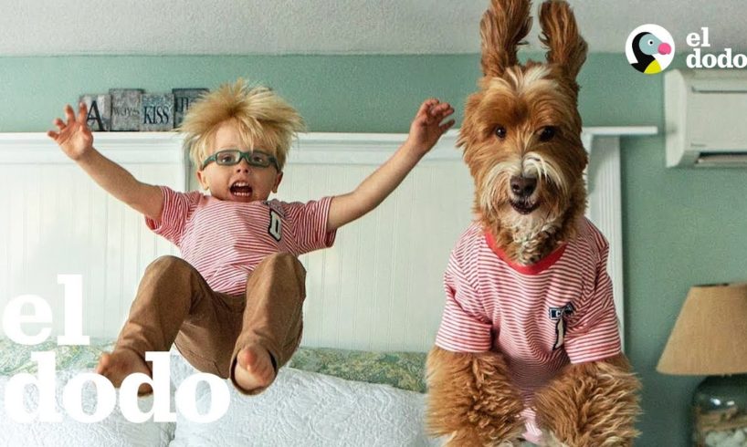 Niño y su perrito son mejores amigos desde que se conocieron | El Dodo