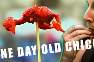 One Day Old (Baby Chicks) - Philippines Street Food