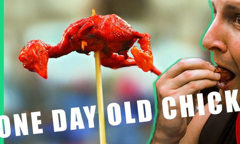 One Day Old (Baby Chicks) - Philippines Street Food
