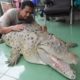 Our Family Pet Is A Six Foot Croc | BEAST BUDDIES