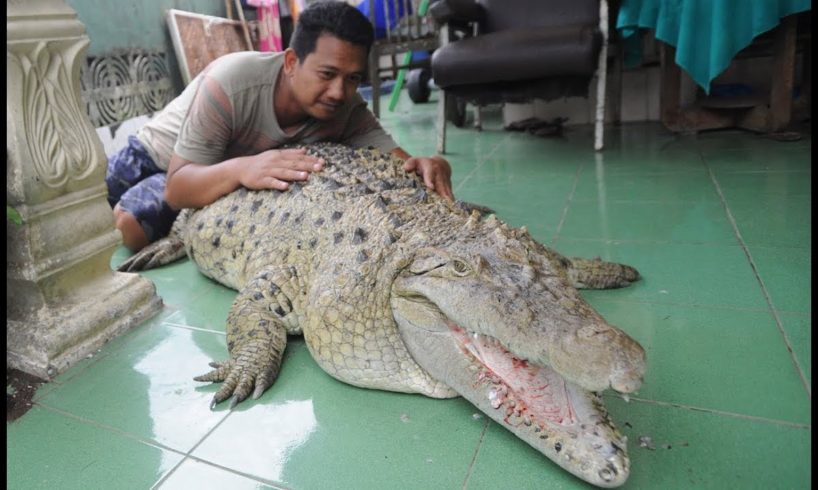 Our Family Pet Is A Six Foot Croc | BEAST BUDDIES