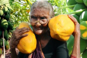 PAPAYA DESSERT | PAPAYA HALWA BY GRANNY MASTANAMMA