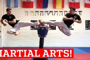 PEOPLE ARE AWESOME 2017 | MARTIAL ARTS EDITION