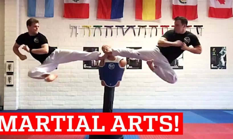 PEOPLE ARE AWESOME 2017 | MARTIAL ARTS EDITION