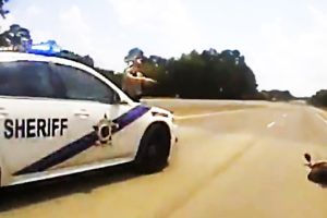 POLICE JUSTICE in ACTION for IDIOT DRIVERS CAUGHT on CAMERA - Police Chase 2017 #48
