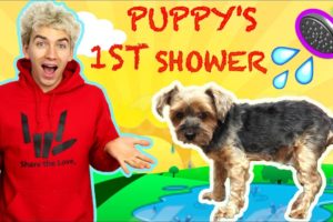 PUPPYS FIRST BATH WITH STEPHEN SHARER & LIZZY SHARER (CUTEST PUPPY SHOWER ??)