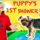 PUPPYS FIRST BATH WITH STEPHEN SHARER & LIZZY SHARER (CUTEST PUPPY SHOWER ??)