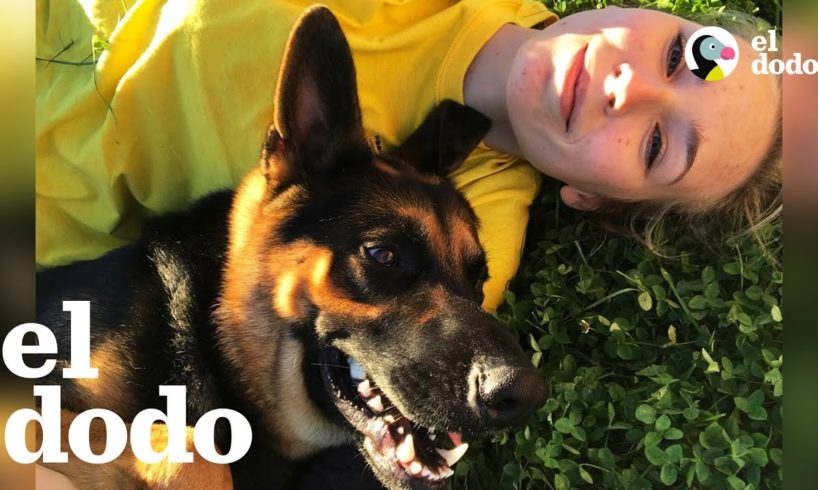 Perrito tiene un talento que puede salvar vidas | El Dodo