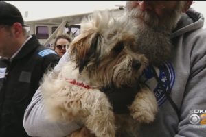Pittsburgh Aviation Animal Rescue Team Celebrates Milestone