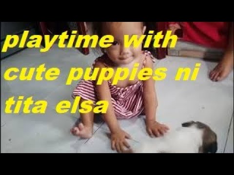 Playtime with cute puppies ni tita elsa