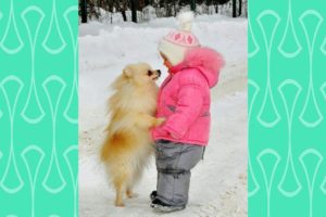 Pomeranian puppy and Baby attracting each other -  Cutest Puppies and babies Videos