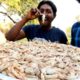 Prawns Dum Biryani By Country boys | Country foods