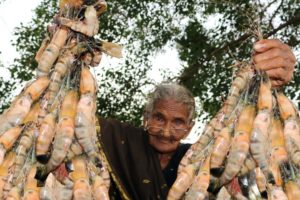 Prawns Recipe | Prawns Tikka Recipe By Granny Mastanamma