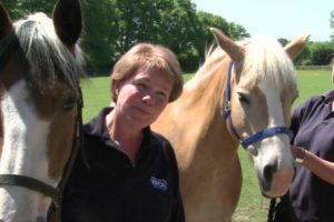 RSPCA Video - Amersham Horses Rescue