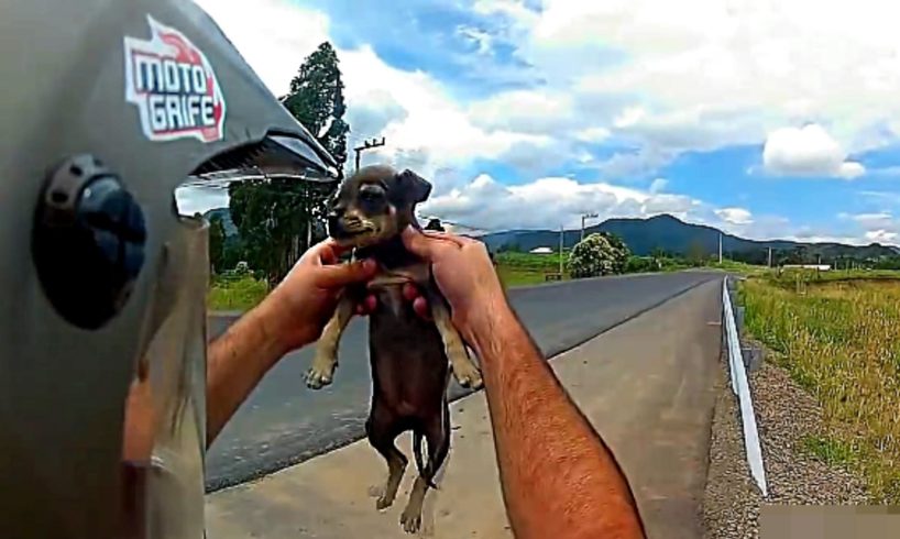 Random Acts of Kindness, Humanity Restored 2017! Drivers & Bikers Helping Others, People & Animals