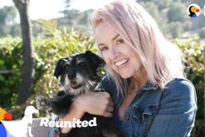 Rescue Dog Reunited With The Foster Mom Who Never Gave Up On Her | The Dodo Reunited