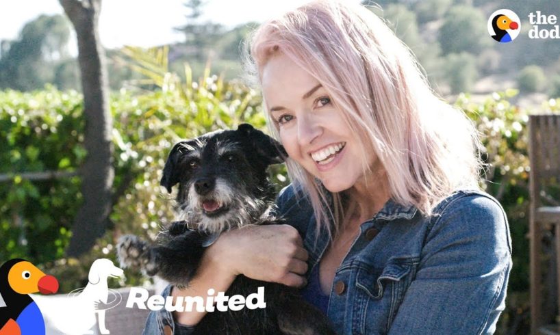 Rescue Dog Reunited With The Foster Mom Who Never Gave Up On Her | The Dodo Reunited