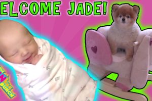SHE'S HERE!! WELCOME LITTLE NEWBORN JADE!! CUTEST PUPPY DOG RUNS AWAY!!