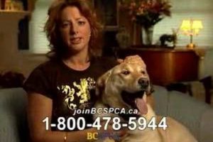 Sarah McLachlan Animal Cruelty Video