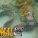 Savage Sea Stalker | Animal Fight Night