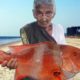 Sea Fish Recipe | Big Fish Recipe By Granny Mastanamma