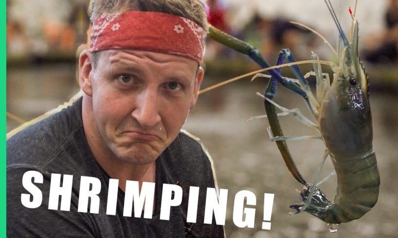 Shrimping in Taipei, Taiwan!