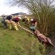 Shropshire Firefighters Large Animal Rescue Training