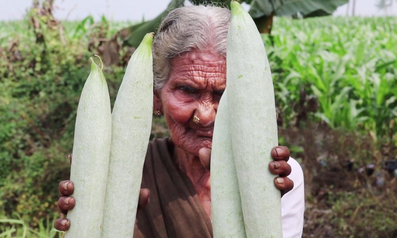 Snake Gourd & Milk Recipe || Easy Snake Gourd Curry || Potlakaya Curry With Milk By My Granny's