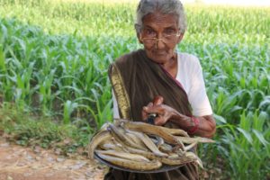 Special Fish Recipe || Bommidala Recipe || Fish Pulusu By My Grandma's