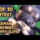 TOP 10 CUTEST GERMAN SHEPHERD PUPPIES OF ALL TIME