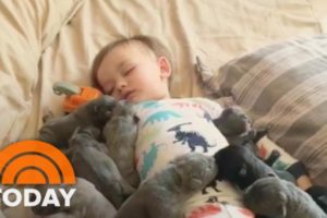 This Baby Snuggling A Pack Of Cute Puppies Is Guaranteed To Make Your Day | TODAY