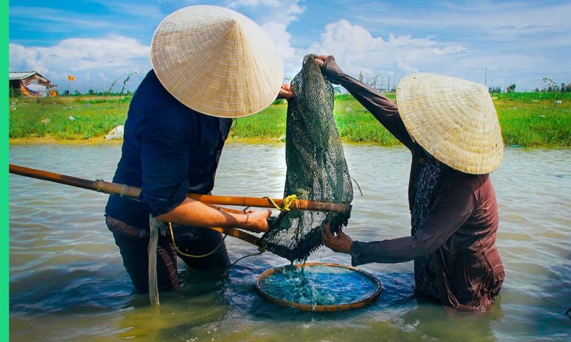This river is FULL of food! (Hến trộn + Bánh bèo)