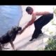 Top 10 Most Inspiring Dog Rescues [NEW 2014]
