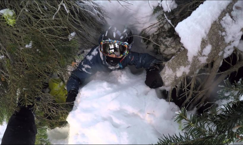 Tree well near death experience