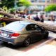 Trees vs Cars - Trees falling on Cars compilation