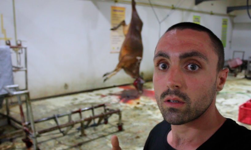 Vegan Witnesses INSANE Halal Slaughter