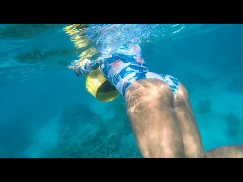 WHAT COULD GO WRONG compilation pt.17 [FailForceOne]