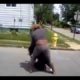 Weave Fights - Hood Fight! - Funny!