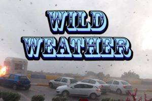 Wild Weather Compilation