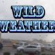 Wild Weather Compilation