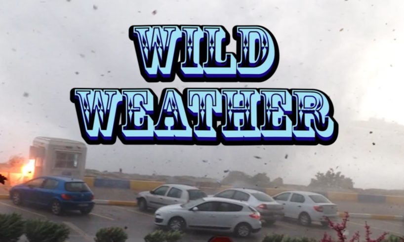 Wild Weather Compilation
