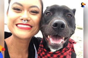 Woman Rescues Dog Who Ends Up Rescuing Her | The Dodo