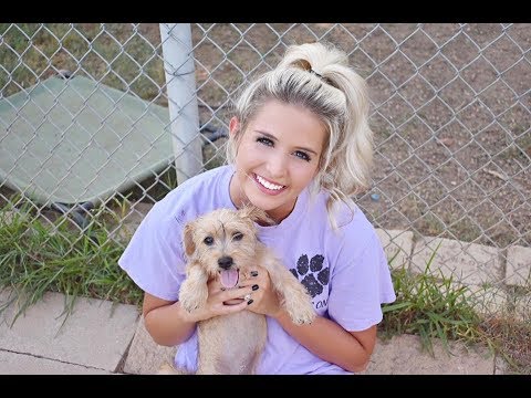 Worlds Cutest Puppies - ADOPT Don't SHOP